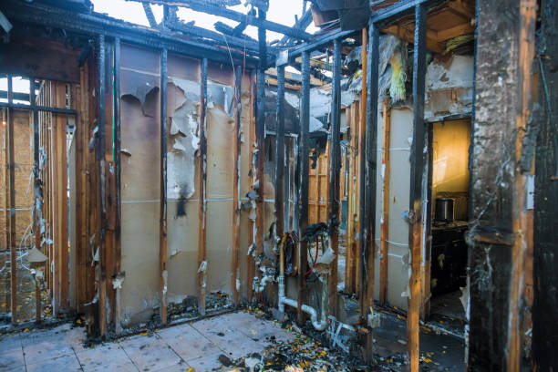 Professional Soot Cleanup technician working in Seminole, FL